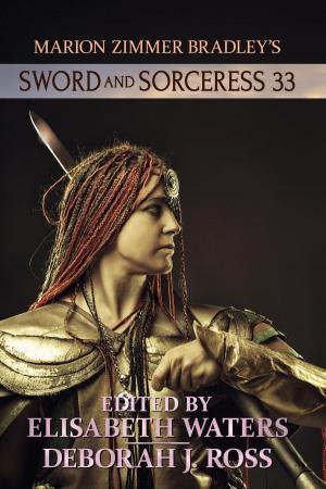 Book cover of Sword and Sorceress 33