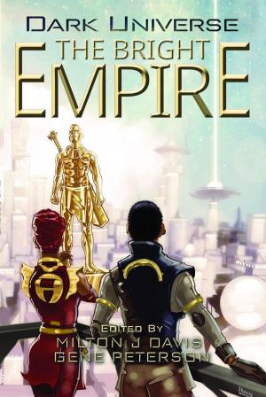 Book cover of Dark Universe: The Bright Empire