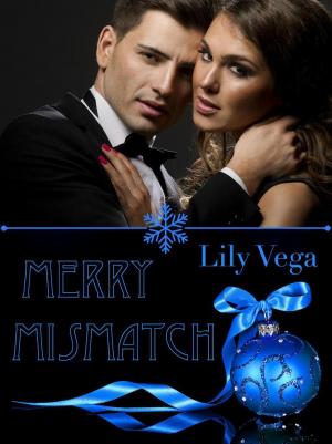 Book cover of Merry Mismatch
