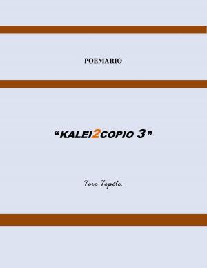 Book cover of Kalei2copio 3