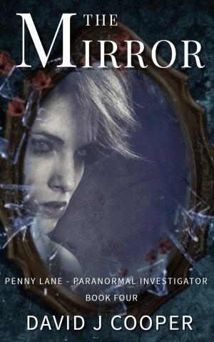 Cover of the book The Mirror by Adario Strange