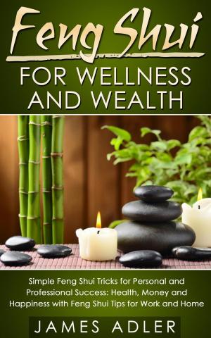 Cover of the book Feng Shui for Wellness and Wealth: Simple Feng Shui Tricks for Personal and Professional Success: Health, Money and Happiness with Feng Shui Tips for Work and Home by Robert Hieronimus, Ph.D., Laura E. Cortner