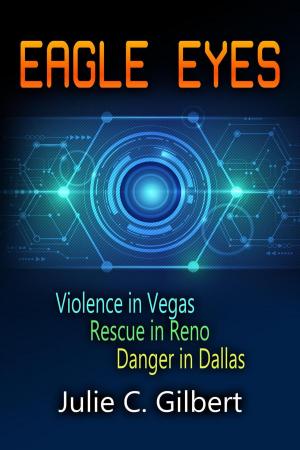 Cover of the book Eagle Eyes by Julie C. Gilbert