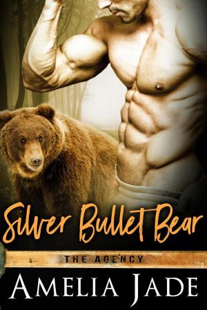 Cover of the book Silver Bullet Bear by Diane Wylie