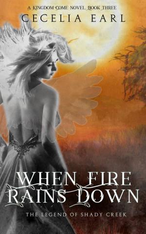 Cover of the book When Fire Rains Down by Ho Lee-Ling