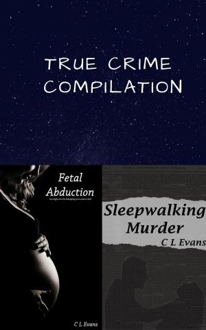 Cover of the book True Crime Compilation by Sandra Raine
