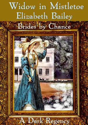 Book cover of Widow in Mistletoe