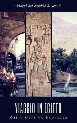 Book cover of I viaggi del cambio di secolo - Viaggio in Egitto