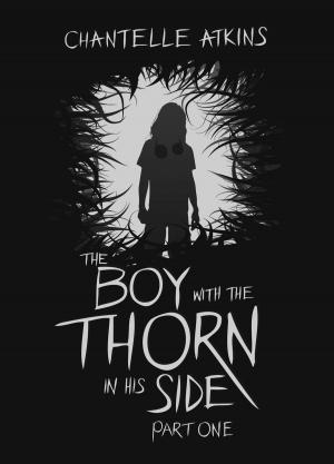 Book cover of The Boy With The Thorn In His Side - Part One