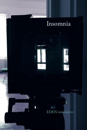 Cover of the book Insomnia by Jade Kerrion