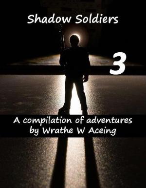 Book cover of Shadow Soldiers 3