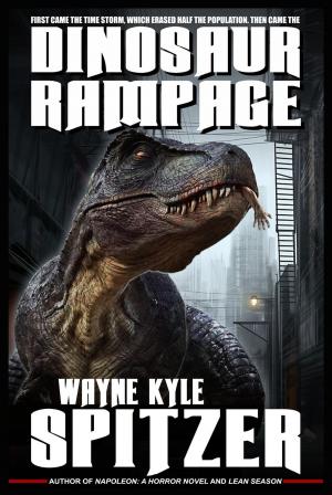 Cover of the book Dinosaur Rampage by Shelly Chalmers