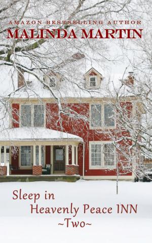 Cover of the book Sleep in Heavenly Peace Inn Two by Alan Clay