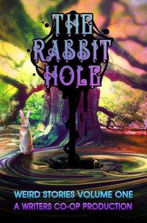 Book cover of The Rabbit Hole