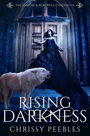 Cover of the book Rising Darkness by Kristen Middleton, Chrissy Peebles