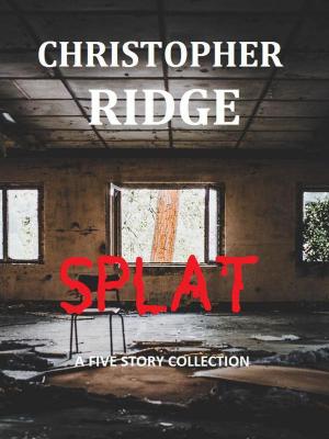 Cover of the book Splat by Christopher Ridge