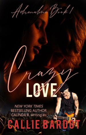 Cover of the book Crazy Love: A Rock Star Romance by Scott Overton