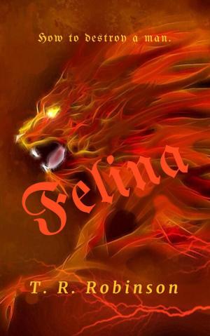 Book cover of Felina