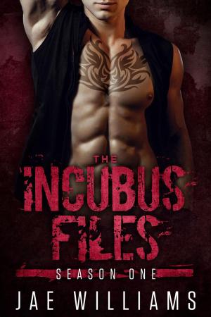 Book cover of The Incubus Files: Season One