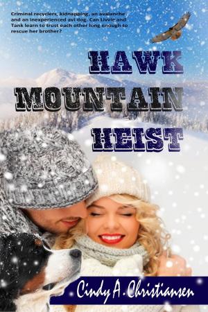 Book cover of Hawk Mountain Heist
