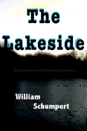 Book cover of The Lakeside