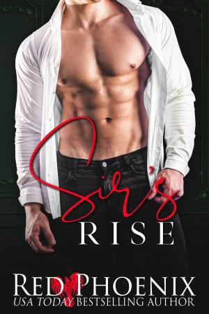 bigCover of the book Sir's Rise (Rise of the Dominants Book One) by 