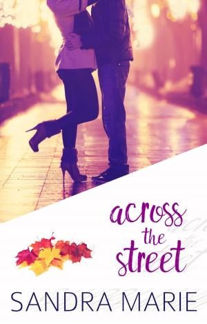 Book cover of Across the Street