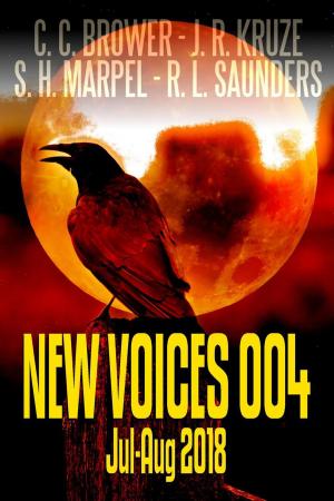 Book cover of New Voices 004 July-August 2018