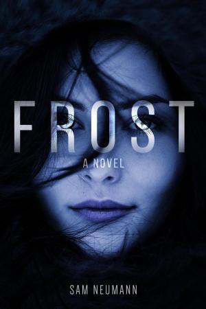 Cover of the book Frost: A Novel by J.C. Hutchins