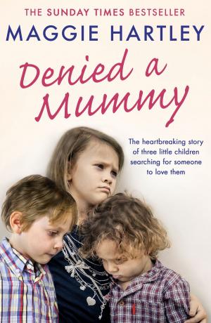 Cover of the book Denied a Mummy by Glenda Larke