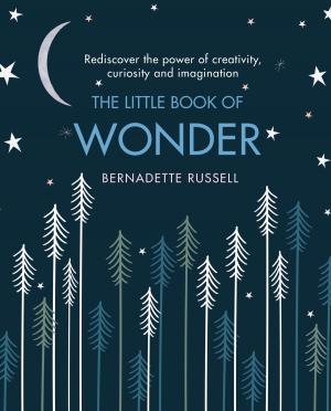 Cover of the book The Little Book of Wonder by P. M. Hubbard