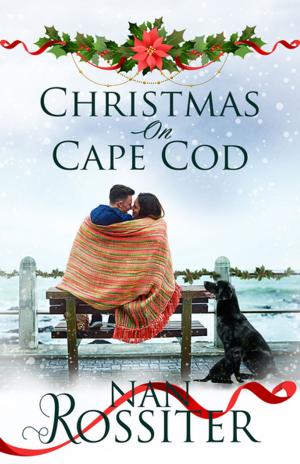 bigCover of the book Christmas on Cape Cod by 