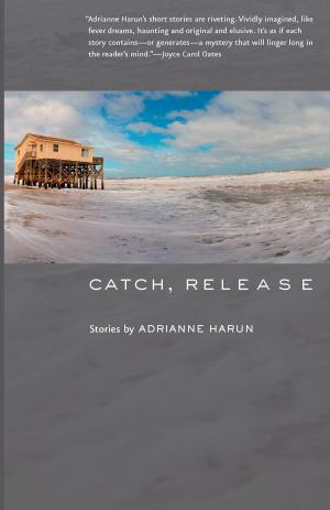 Cover of the book Catch, Release by Jennifer Chan