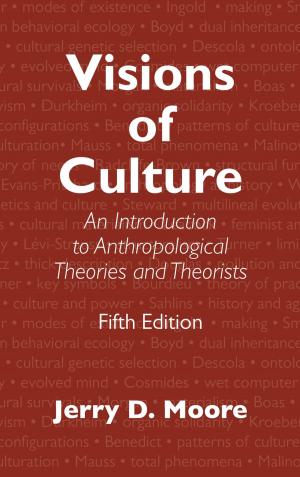 Cover of the book Visions of Culture by 