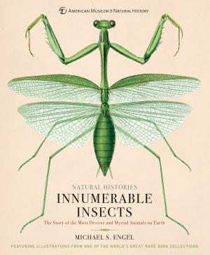 Cover of the book Innumerable Insects by Jo Myers