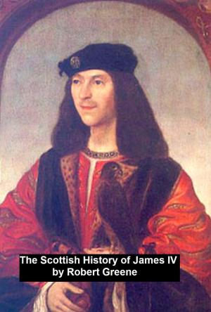 Book cover of The Scottish History of James IV,