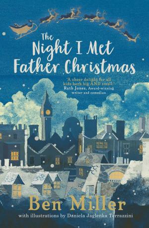 Cover of the book The Night I Met Father Christmas by Annie Wilkinson