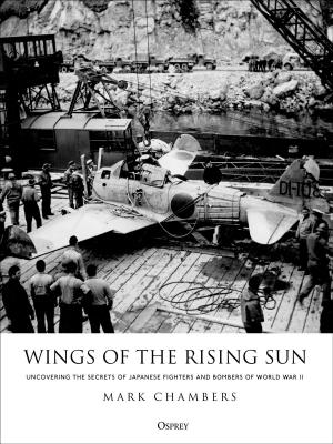 Cover of the book Wings of the Rising Sun by Matthew Floyd Jones, Mr Jon Brittain