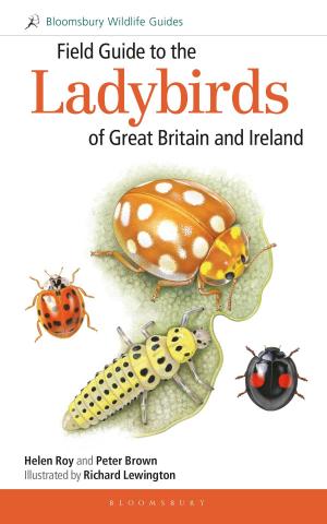 Book cover of Field Guide to the Ladybirds of Great Britain and Ireland