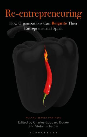 bigCover of the book Re-Entrepreneuring by 