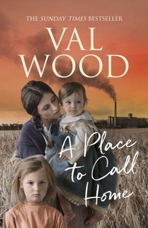 Cover of the book A Place to Call Home by Penelope Weiss