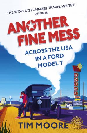 Cover of the book Another Fine Mess by Nick Flynn, Richard Hague