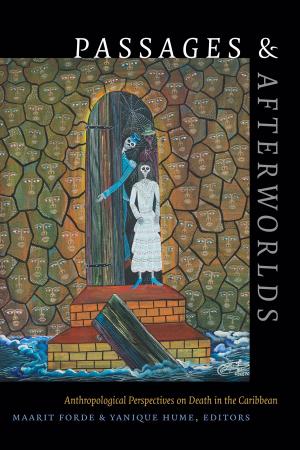 Cover of the book Passages and Afterworlds by Andrew Hewitt, Stanley Fish, Fredric Jameson