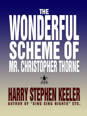 Cover of the book The Wonderful Scheme of Mr. Christopher Thorne by E. Hoffmann Price
