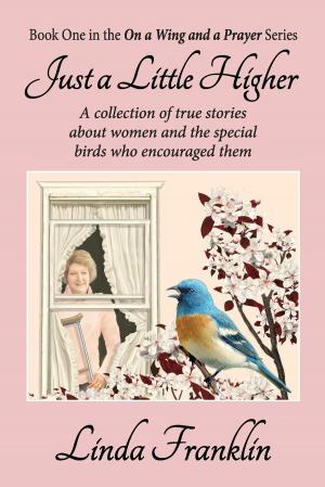 Cover of the book Just a Little Higher by Pam Stemmler