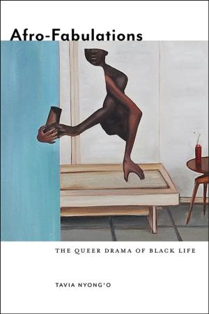 Cover of the book Afro-Fabulations by Marilyn E. Hegarty