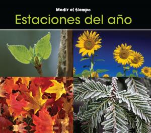 Cover of the book Estaciones del año by Fran Manushkin