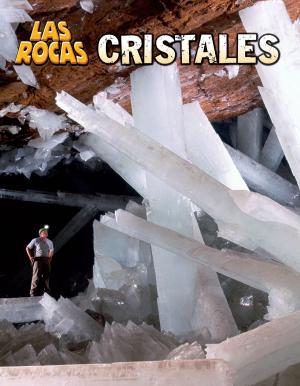 Cover of the book Cristales by Michael Bernard Burgan