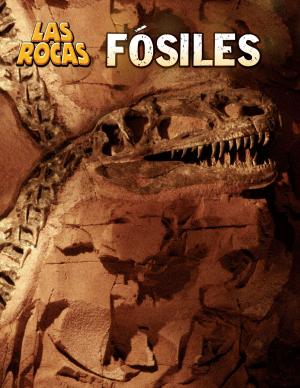 Book cover of Fósiles