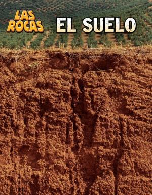 Cover of the book El suelo by Blake A. Hoena